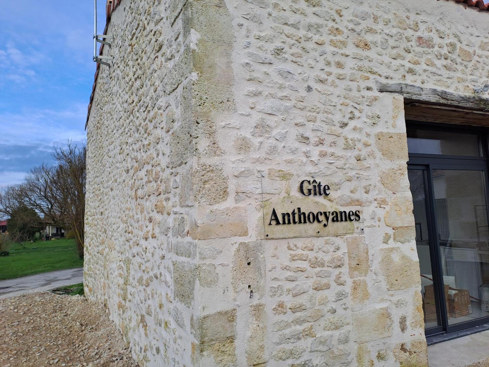 Chambres D'Hotes Chateau Pierre De Montignac Civrac-en-Médoc Zewnętrze zdjęcie