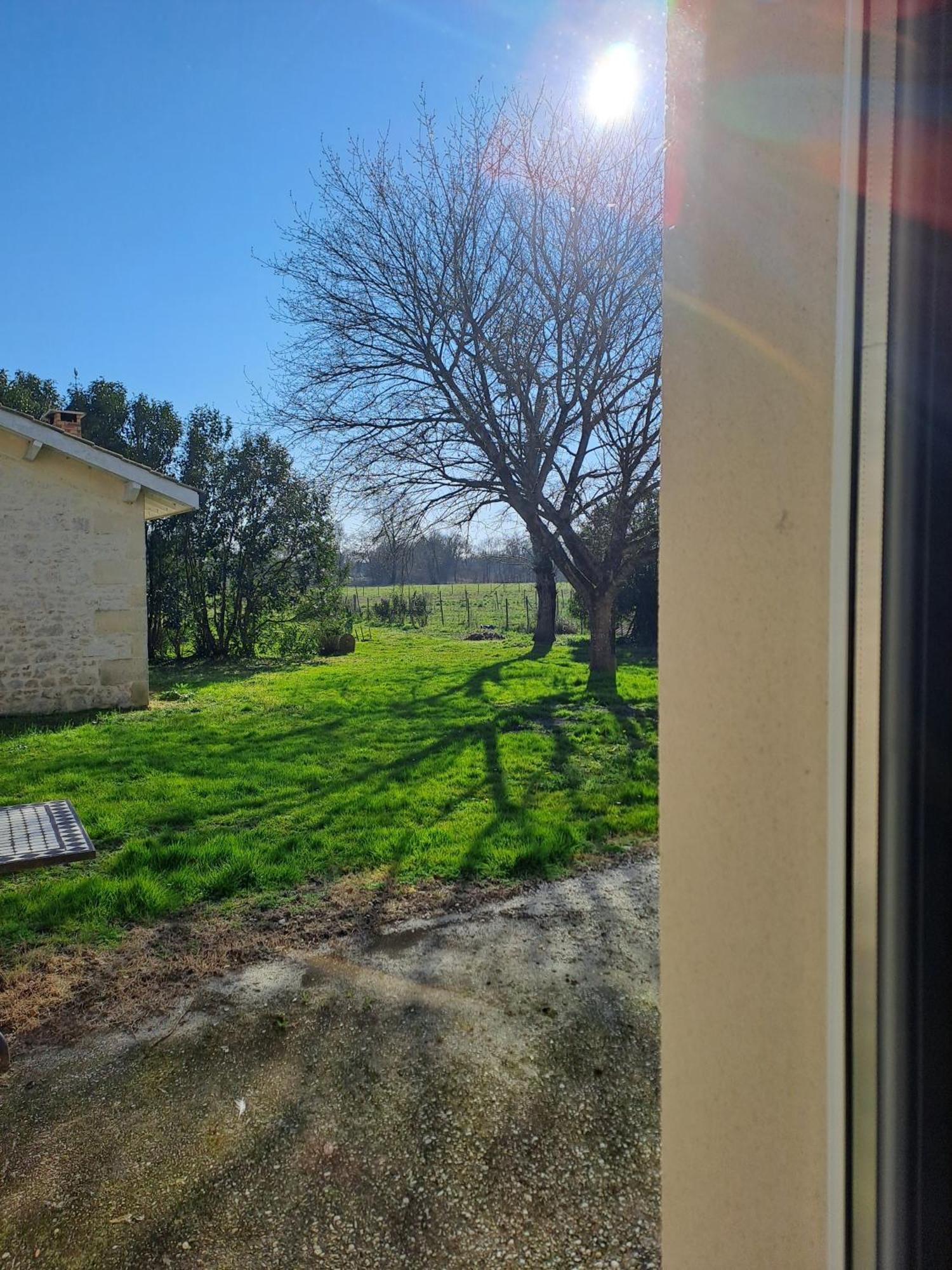 Chambres D'Hotes Chateau Pierre De Montignac Civrac-en-Médoc Zewnętrze zdjęcie
