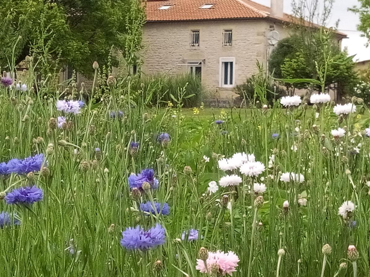 Chambres D'Hotes Chateau Pierre De Montignac Civrac-en-Médoc Zewnętrze zdjęcie